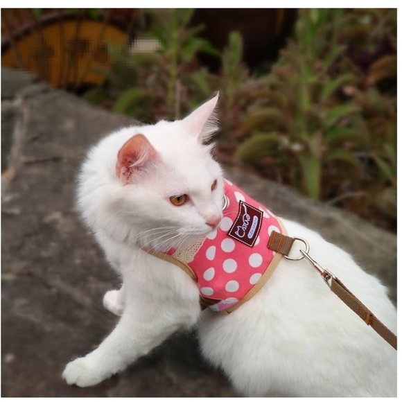 Polkadot Pink Cat Harness NWOT - Picture 6 of 6